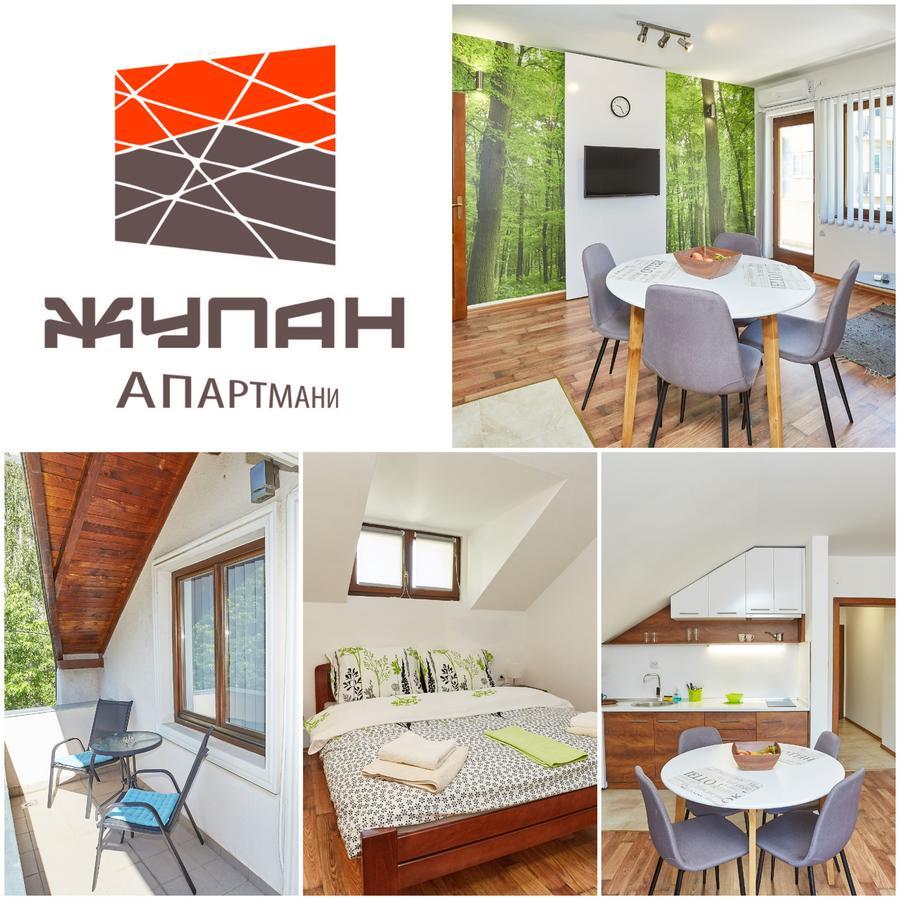Zupan Apartmani Sokobanja Zewnętrze zdjęcie